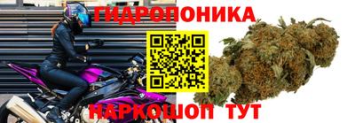 a pvp Донецк