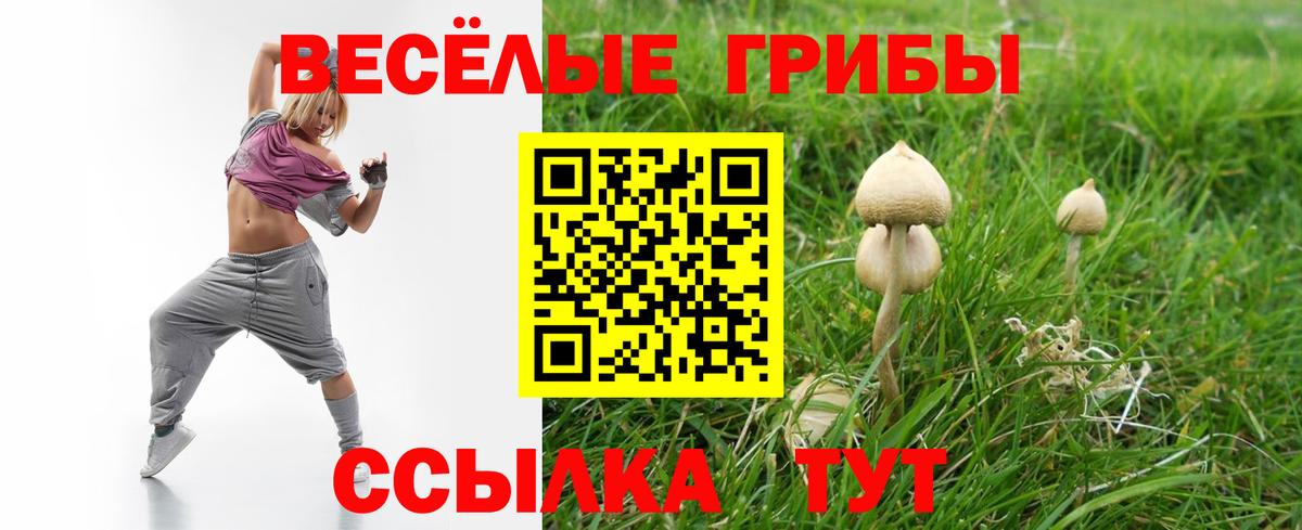 Псилоцибиновые грибы GOLDEN TEACHER  Вход с VPN  Лыткарино 